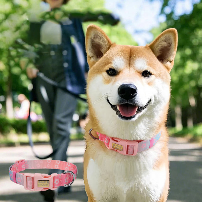 ๐จ Cute Colorful Adjustable Pet Collar โ Lovely Color Matching