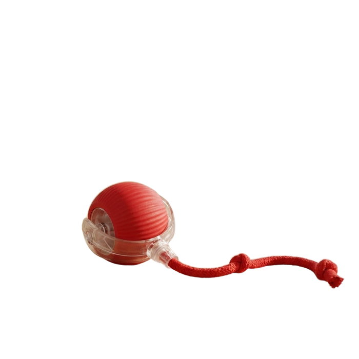 Interactive Rolling Dog Ball