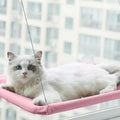 Pet Window Hammock