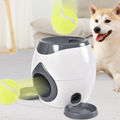 Interactive Pet Feeder Toy