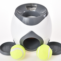 Interactive Pet Feeder Toy