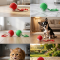 Interactive Rolling Dog Ball
