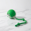 Interactive Rolling Dog Ball