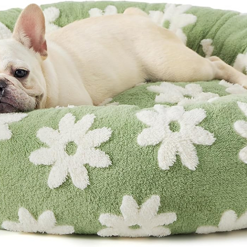 CozyPaw All-Season Bed
