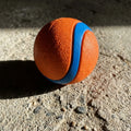 Cute Puppy Play Ball- Interactive Dog Toy
