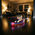 Rechargeable Rolling Ball Cat Toy