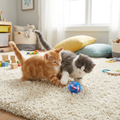 Electric Auto Rolling Ball — Cat Teaser Toy