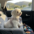 JESPET Dog Car Booster Seat
