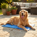 Cool Pet Pad — Self-Cooling Mat