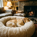 Divine Dog Bed — Premium Comfort