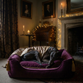 Enchanted Nights Luxury Dog Bed