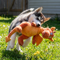 Tuffy Dragon Orange Plush Dog Toy