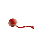 Interactive Rolling Dog Ball