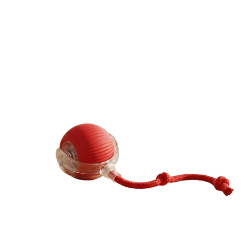 Interactive Rolling Dog Ball