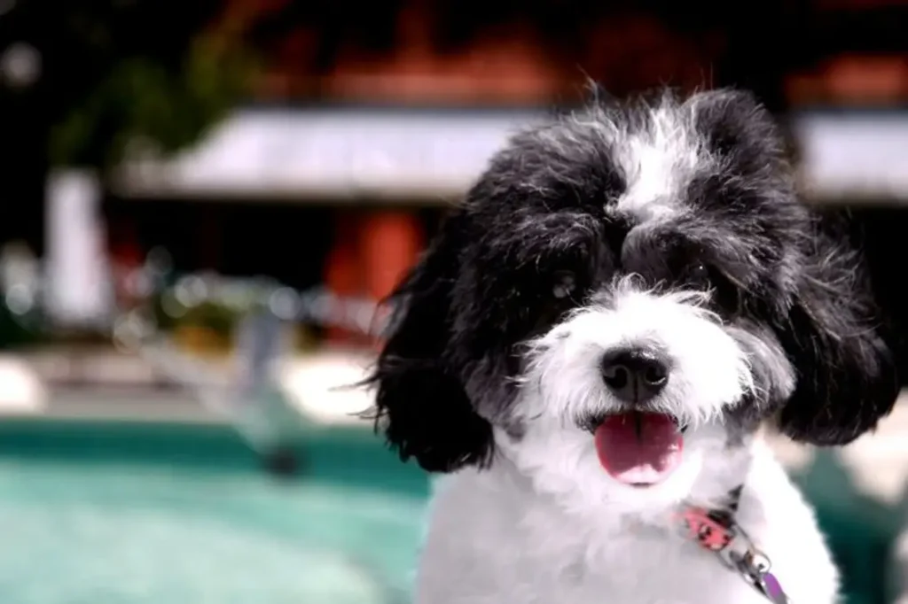 IMG 0338 12 1024x682